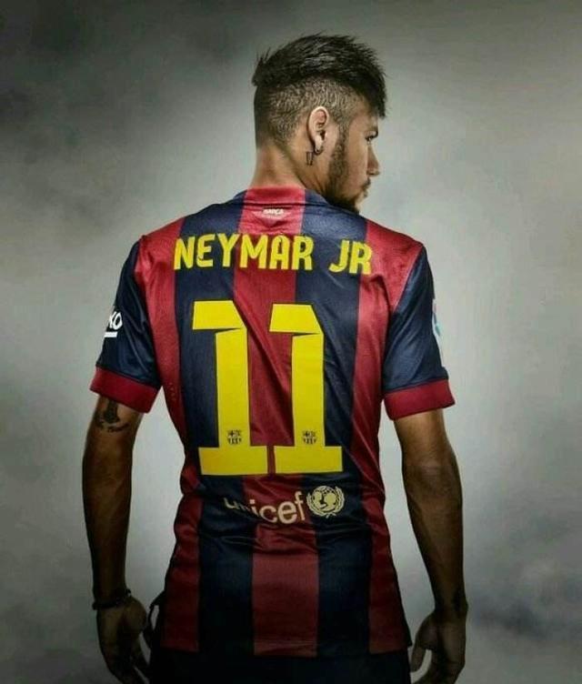 致敬，都柏林动物园将一只极度濒危的鹦鹉取名特洛伊-帕罗特（致敬之举： 都柏林动物园将一只极危鹦鹉命名为特洛伊-帕罗特）